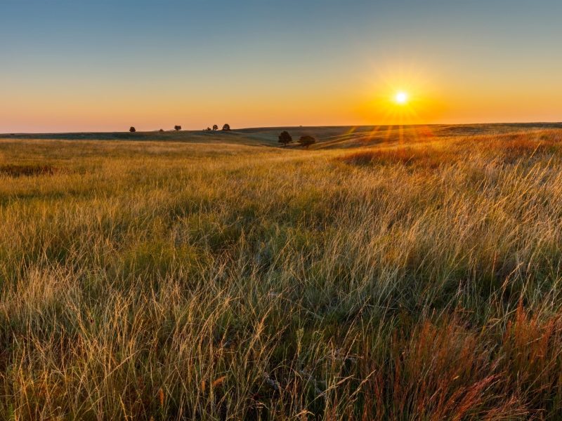 South Dakota Grass Field